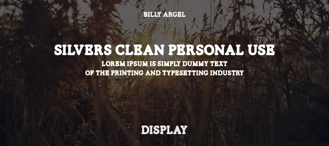 SILVERS CLEAN PERSONAL USE Font Family