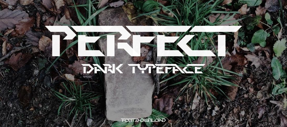 Perfect Dark Font