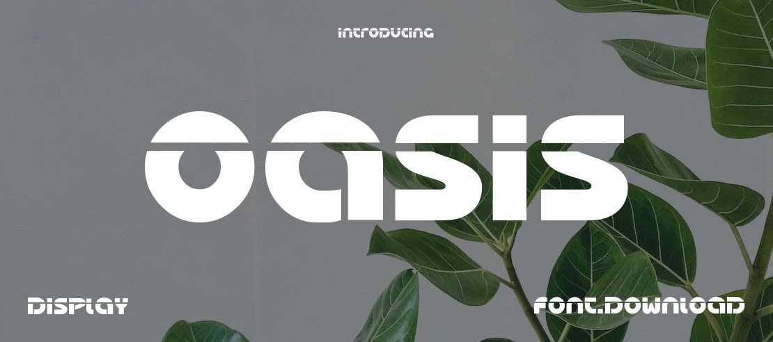 Oasis Font