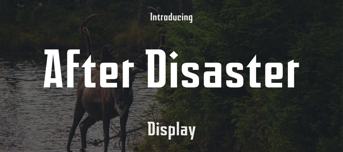 After Disaster Font Family