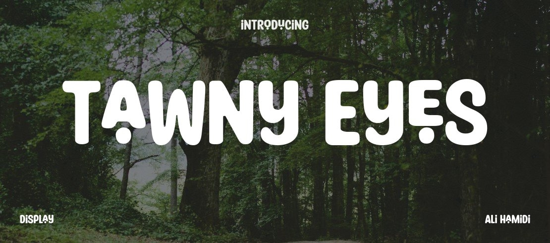 Tawny Eyes Font