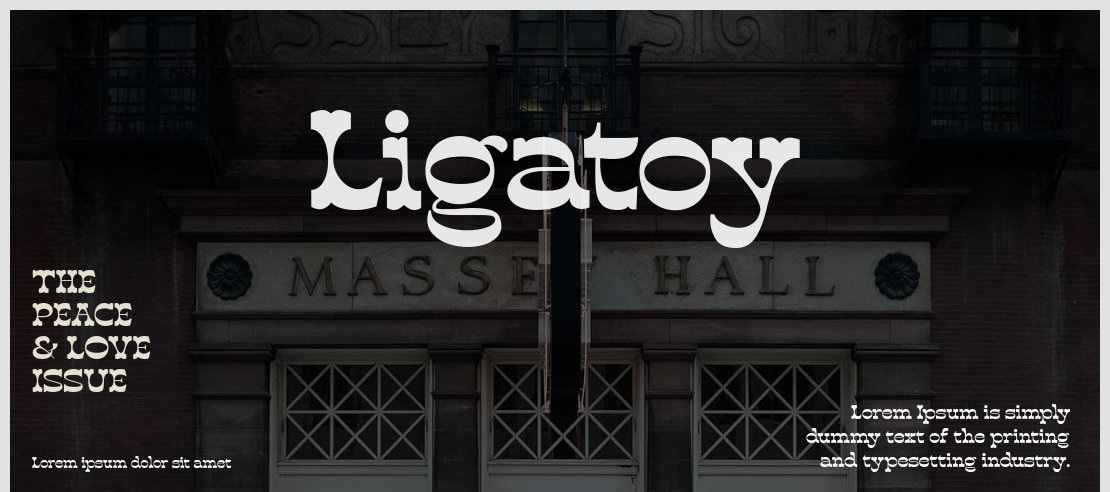 Ligatoy Font