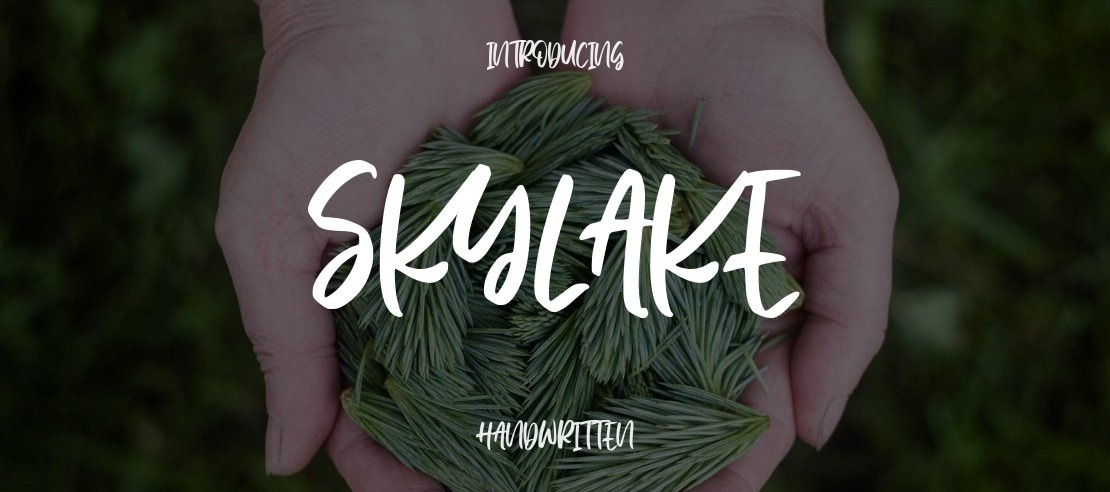 Skylake Font