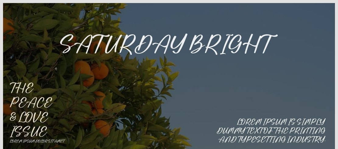 Saturday Bright Font