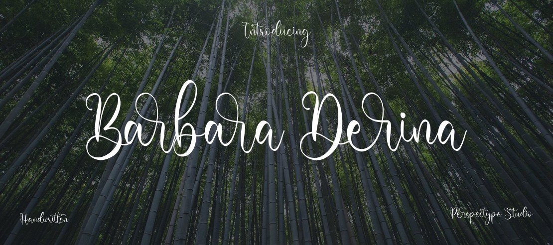 Barbara Derina Font