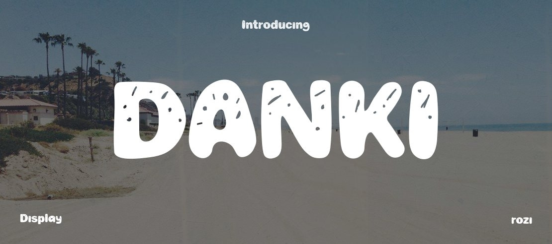 DANKI Font Family