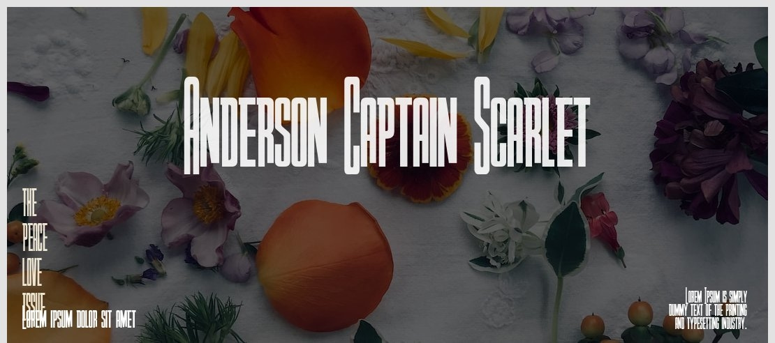 Anderson Captain Scarlet Font