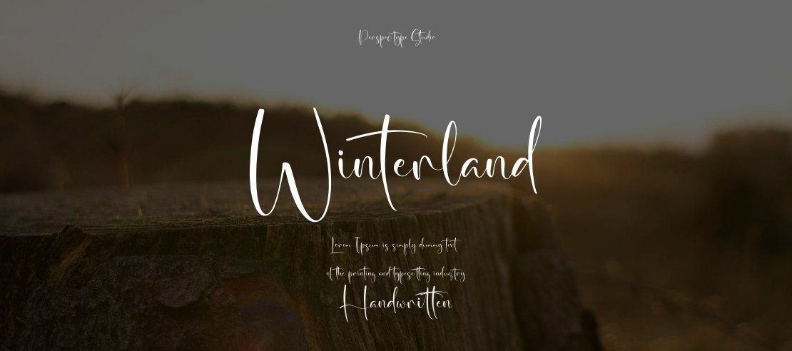 Winterland Font