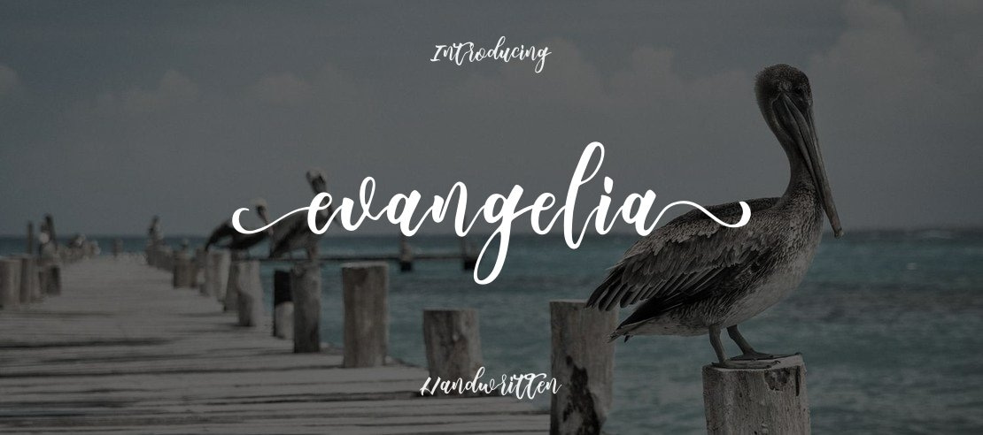 evangelia Font