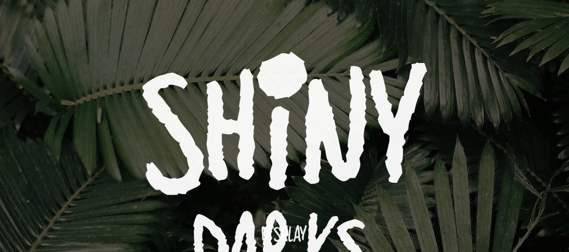 Shiny Darks Font