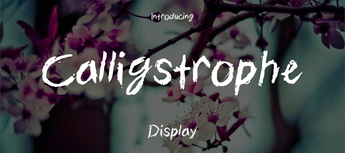 Calligstrophe Font