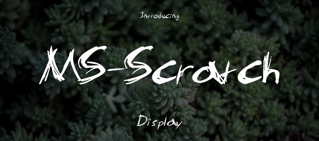 MS-Scratch Font