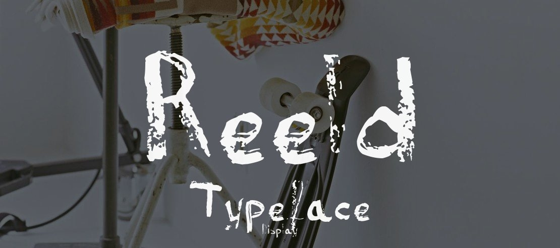 Reeld Typeface Font