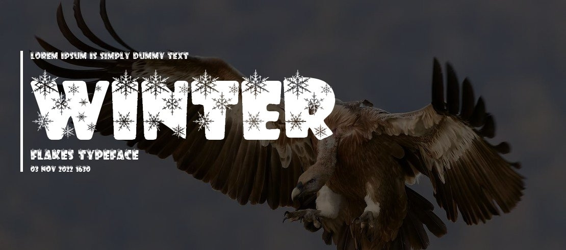 Winter Flakes Font