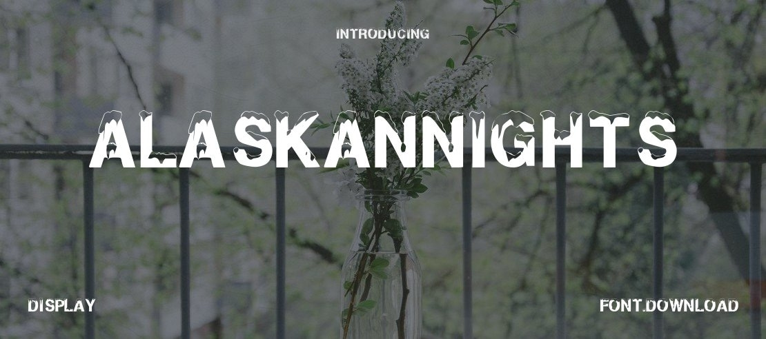 AlaskanNights Font