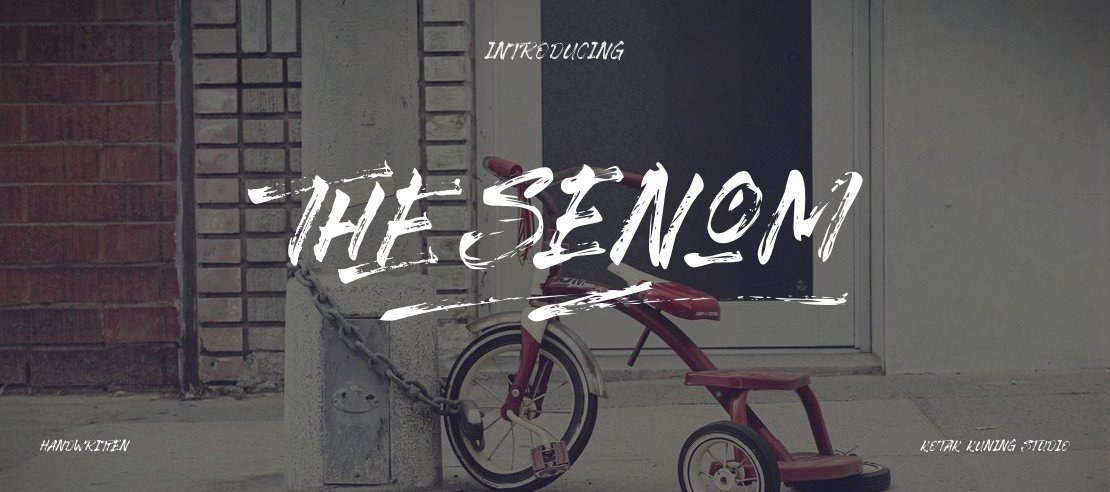 The Senom Font Family