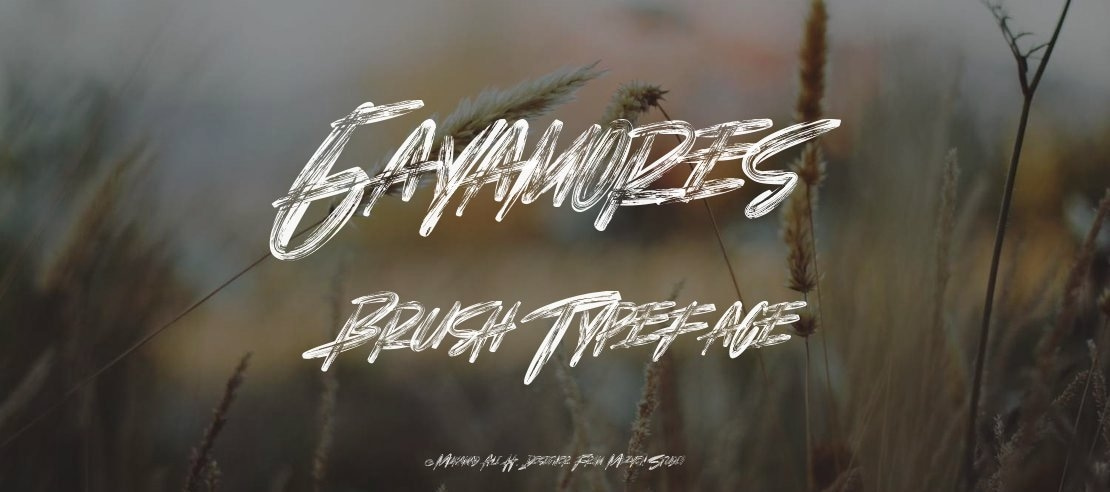 Gayamores Brush Font