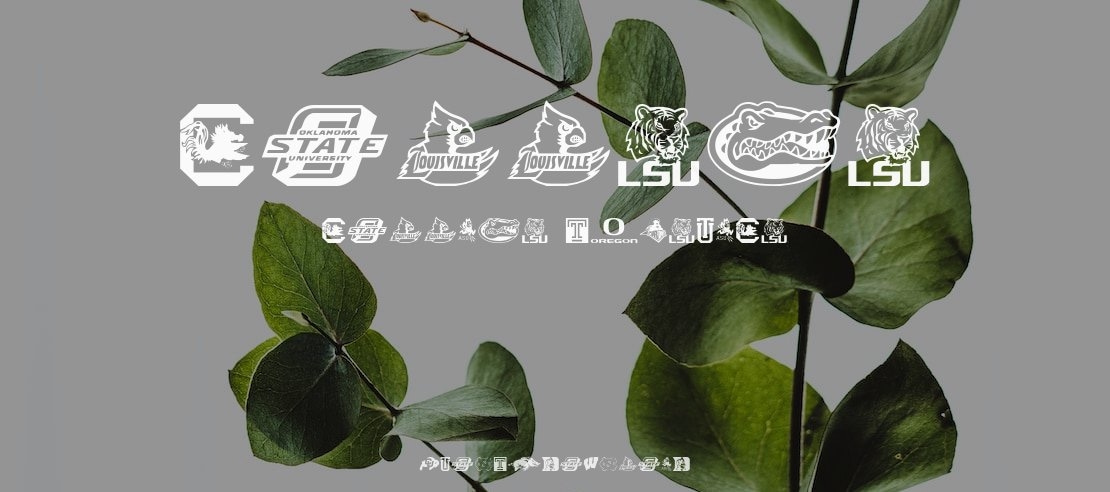 College Collage Font