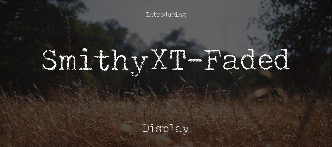 SmithyXT-Faded Font Family