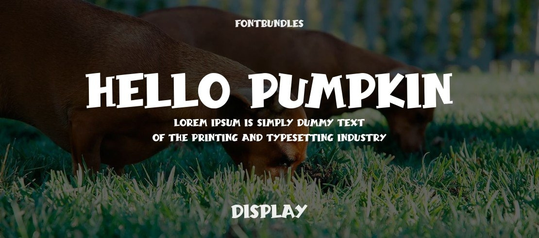 Hello Pumpkin Font