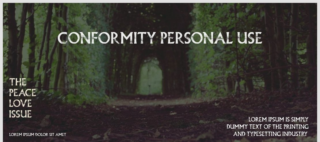 CONFORMITY PERSONAL USE Font