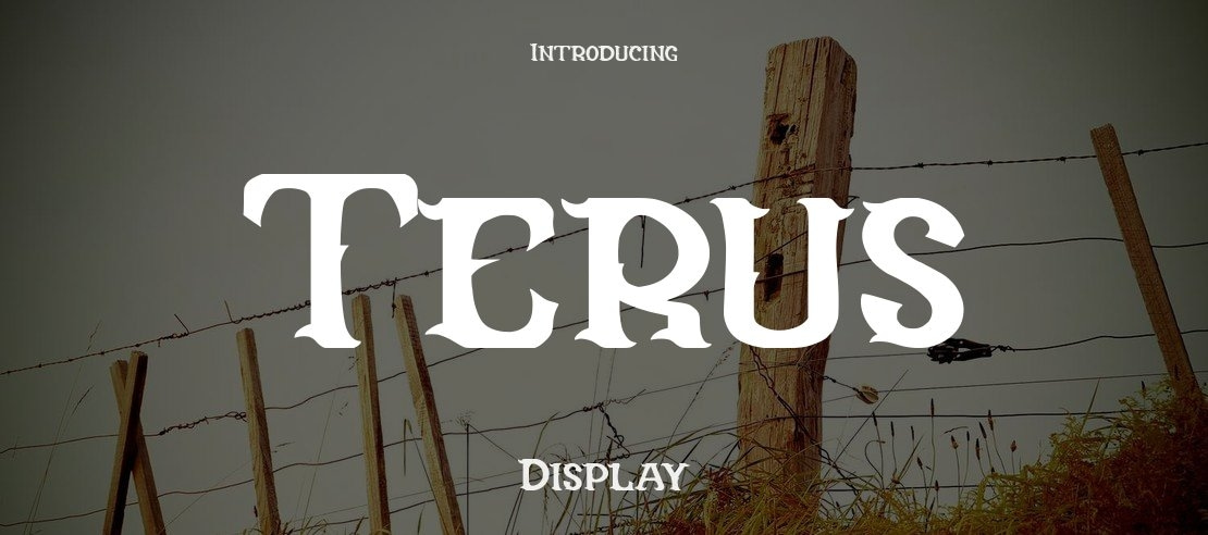 Terus Font