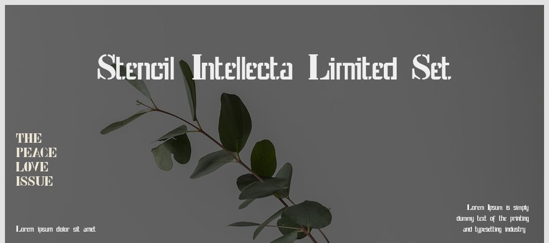 Stencil Intellecta Limited Set Font