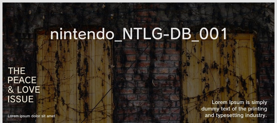 nintendo_NTLG-DB_001 Font