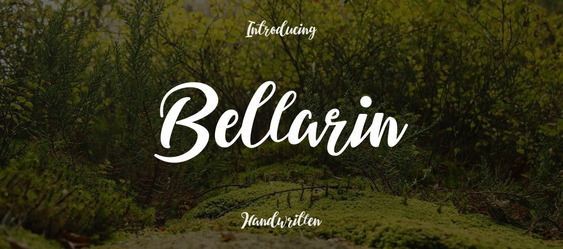 Bellarin Font