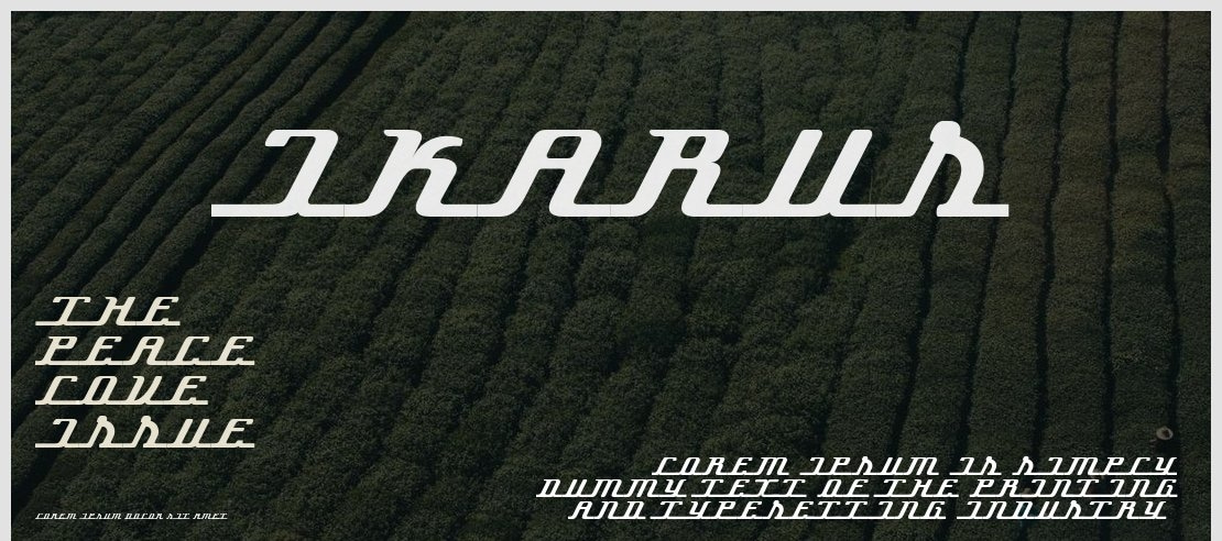 Ikarus Font