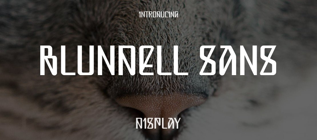 Blundell Sans Font