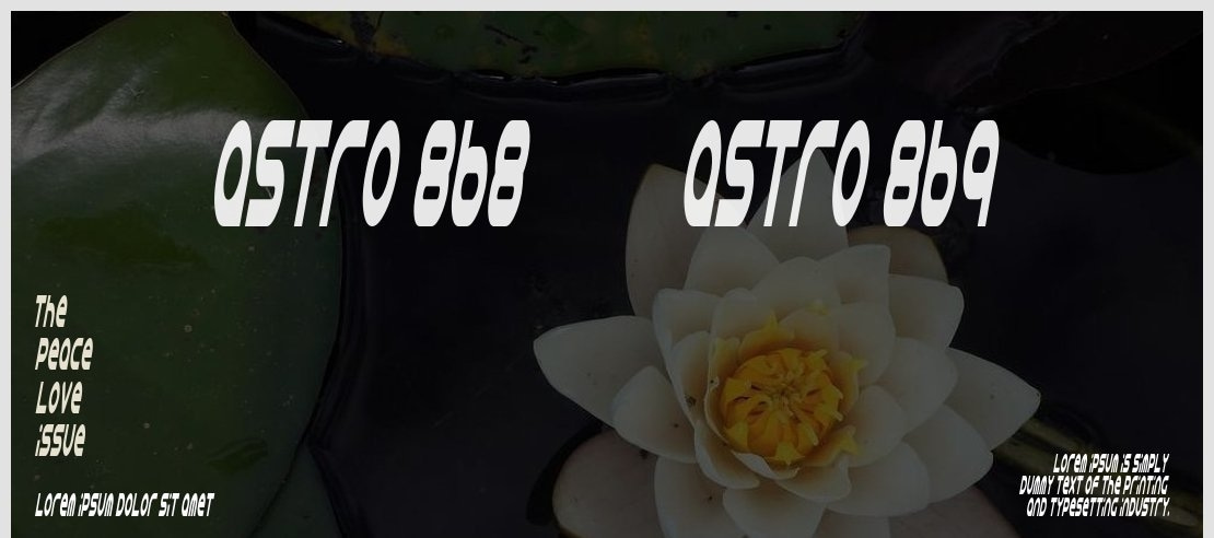 Astro 868 + Astro 869 Font Family