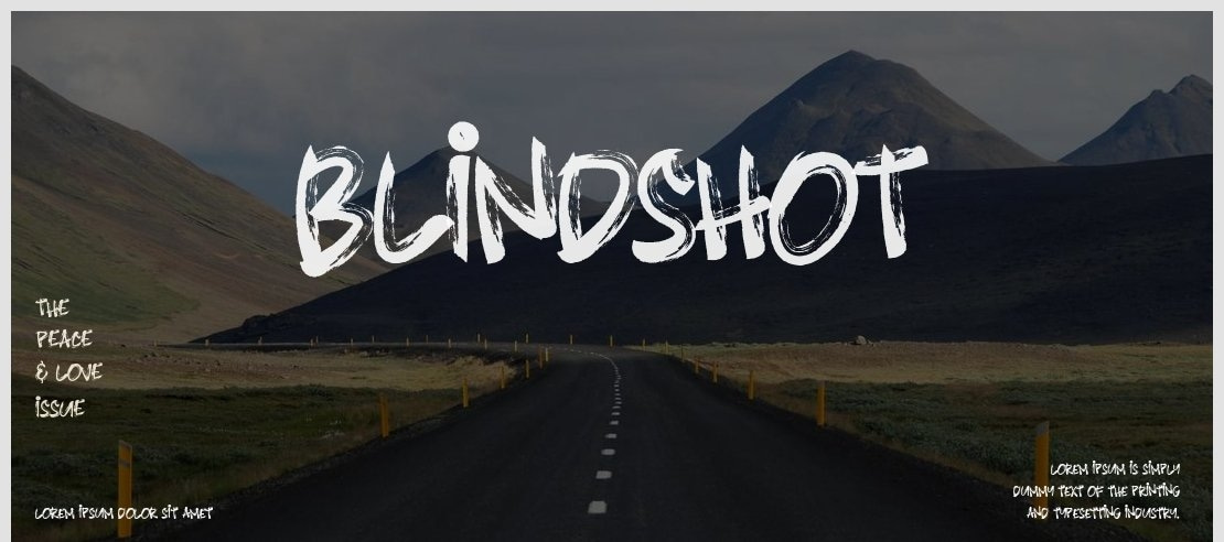 Blindshot Font