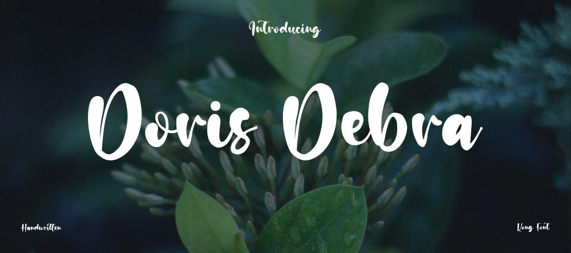 Doris Debra Font
