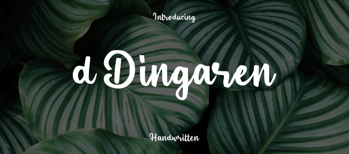 d Dingaren Font