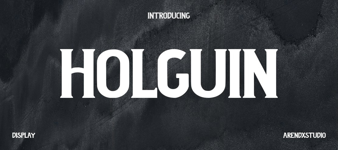 Holguin Font