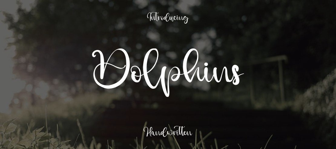 Dolphins Font