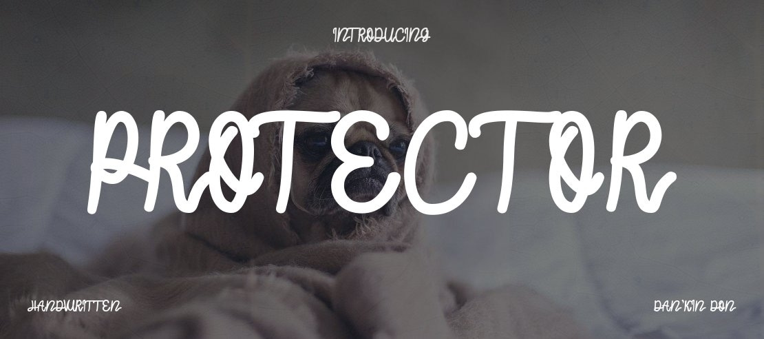 Protector Font