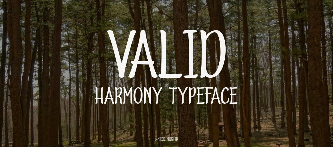 Valid Harmony Font