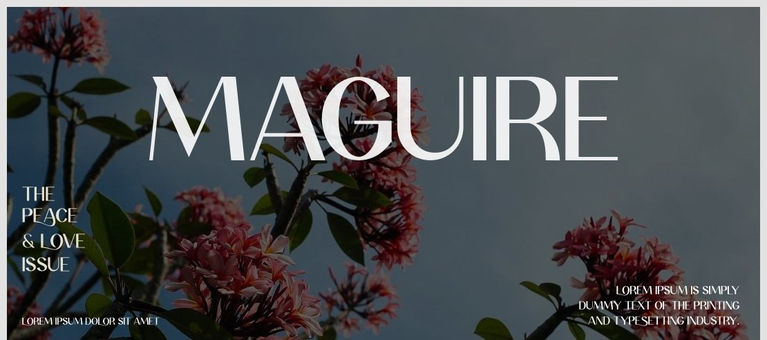 Maguire Font