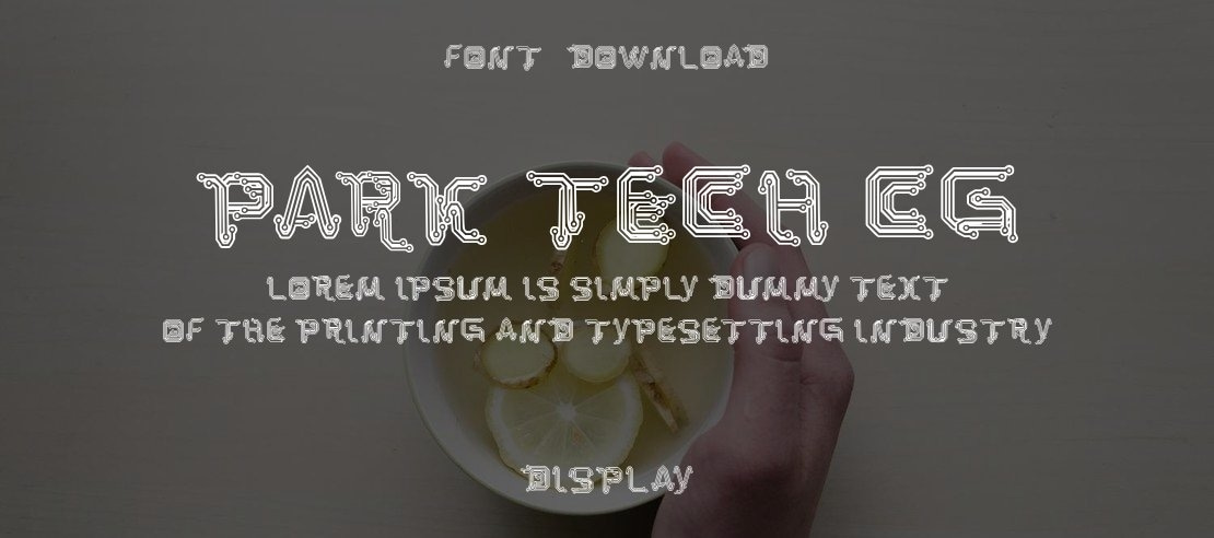 Park Tech CG Font