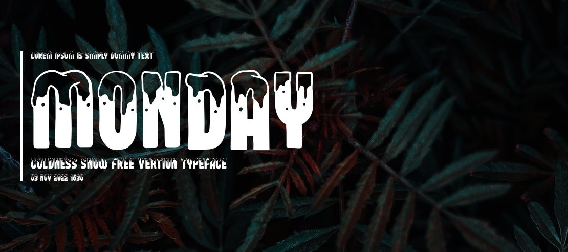 Monday coldness snow free vertion Font