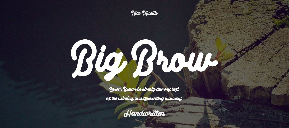 Big Brow Font Family