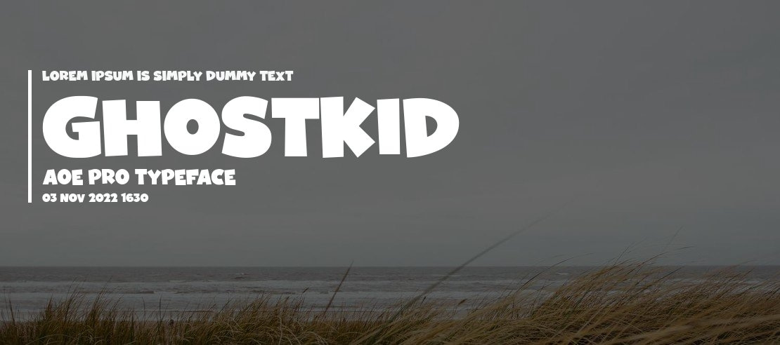 GhostKid AOE Pro Font Family