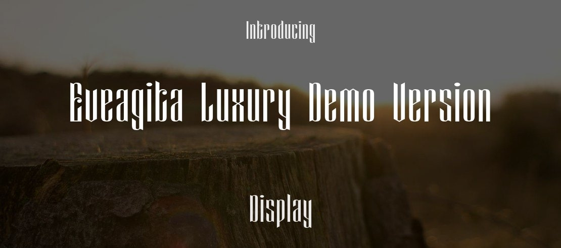 Eveagita Luxury Demo Version Font