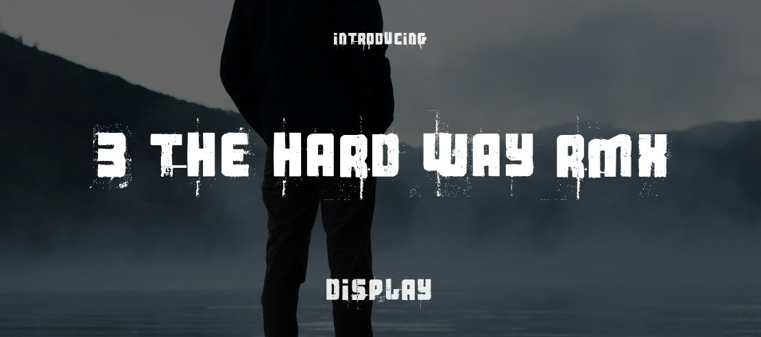 3 the Hard Way Rmx Font