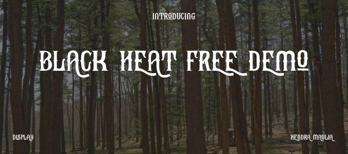 Black Heat Free Demo Font