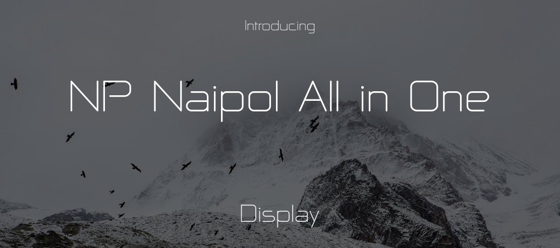 NP Naipol All in One Font Family