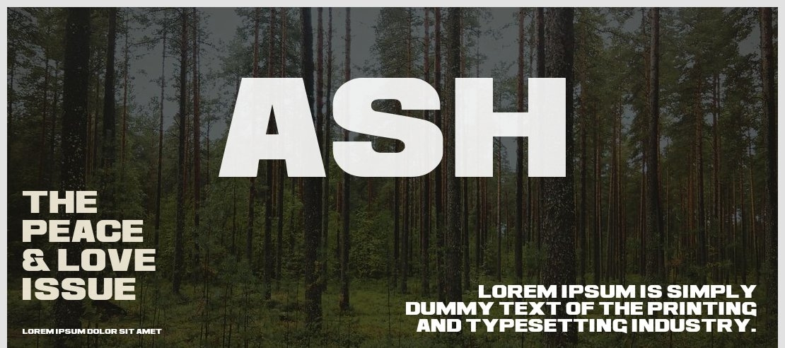 Ash Font