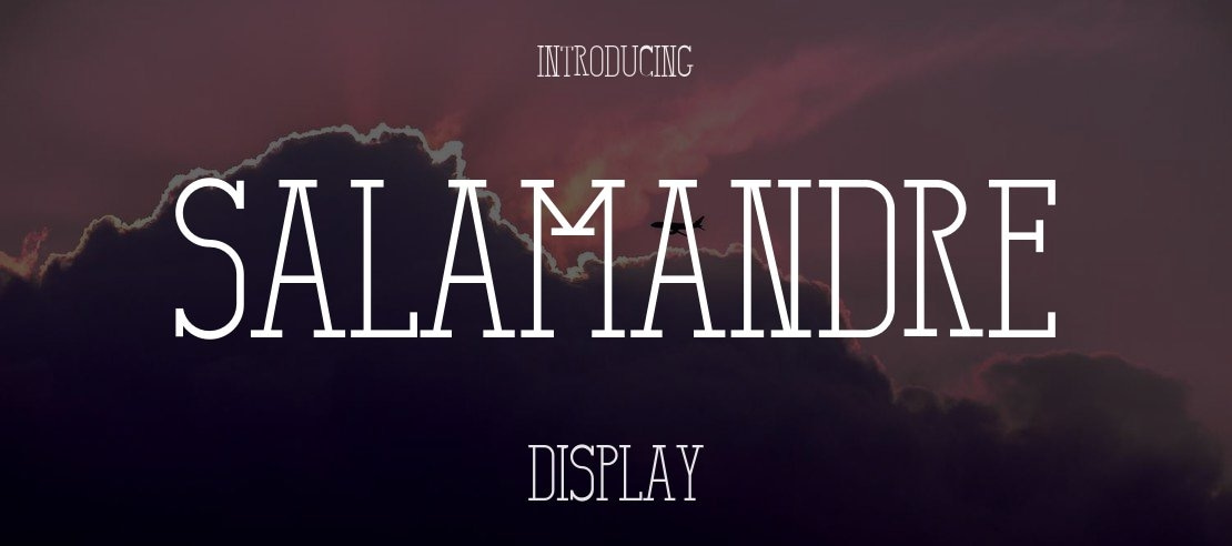 Salamandre Font